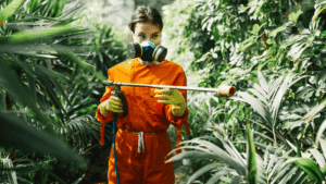 Por que aplicar inseticida comum pode espalhar a colônia pela casa